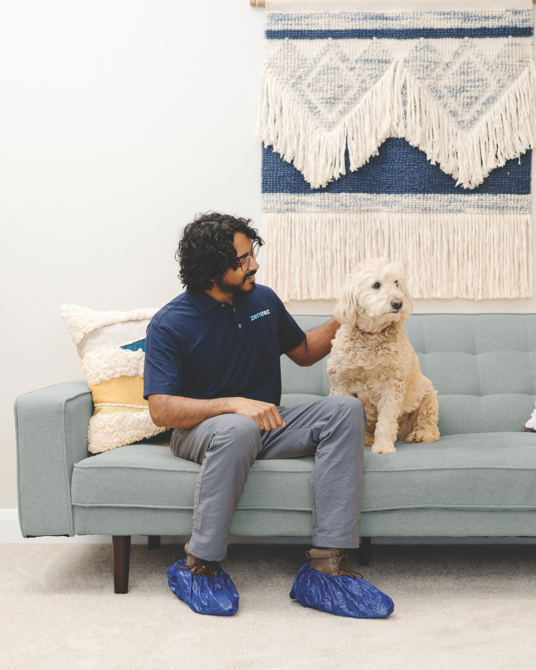 dog with zerorez technician on couch on clean carpet 